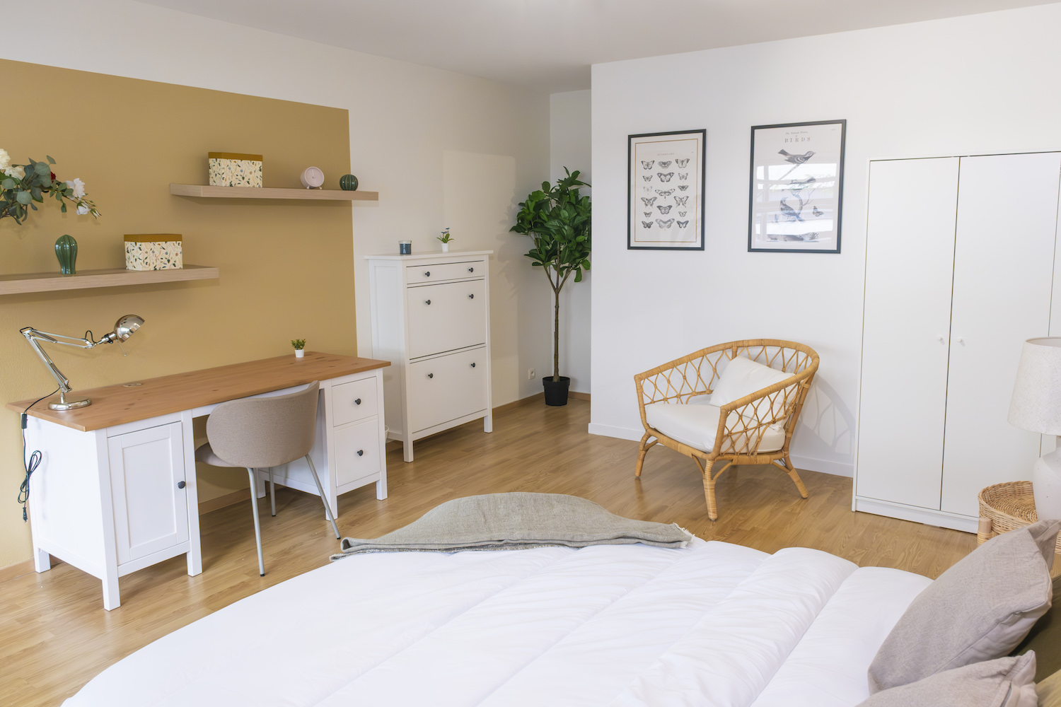 Move into this 20 m² room in Bordeaux – BO39